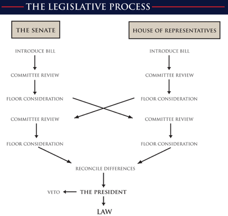 This image has an empty alt attribute; its file name is legislative-process.png